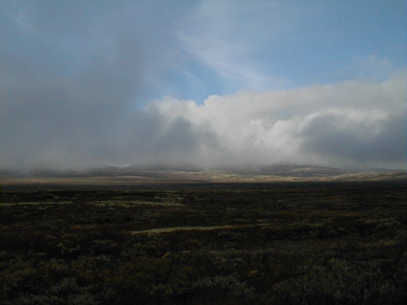 p9160001.jpg