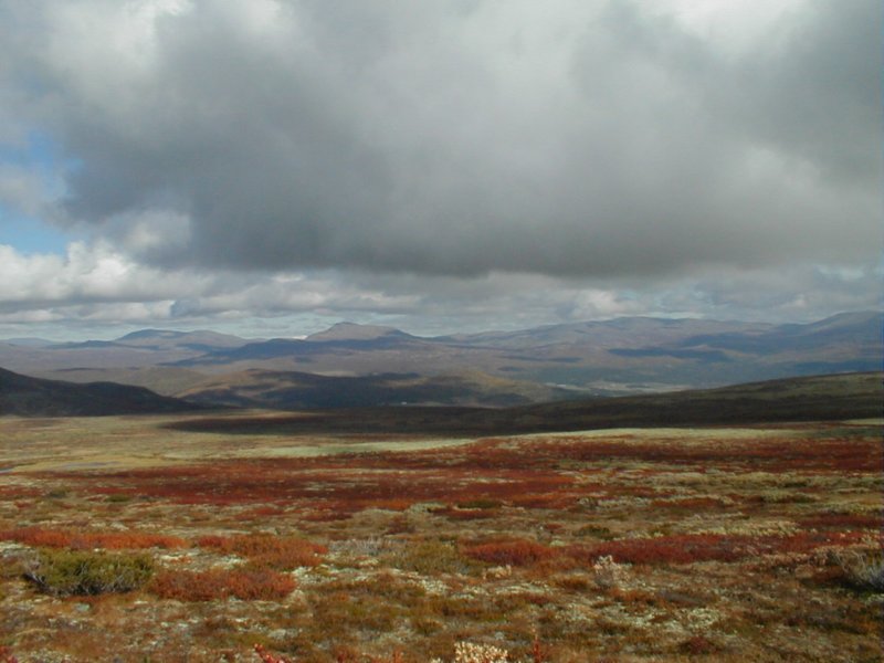 p9160005.jpg