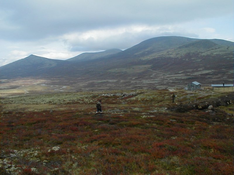 p9200007.jpg