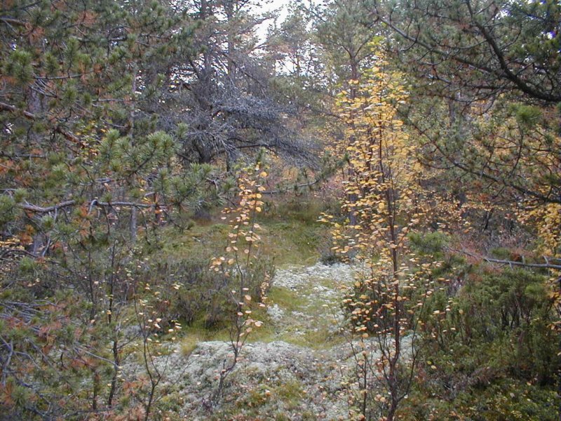 p9200012.jpg