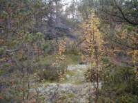 p9200012_small.jpg