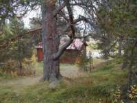 p9200013_small.jpg