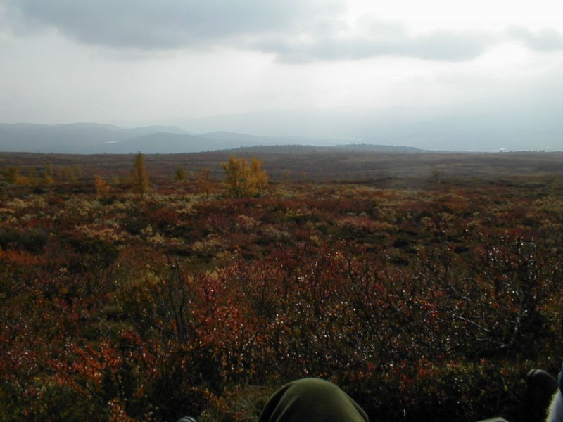 p9210020.jpg